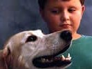 Boy with dog